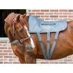 Equilibrium Massage Back Pad & Hotspot Mitt Combo Pack - 3 Length Sizes Available